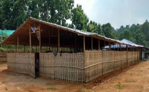 Untitled design (54)